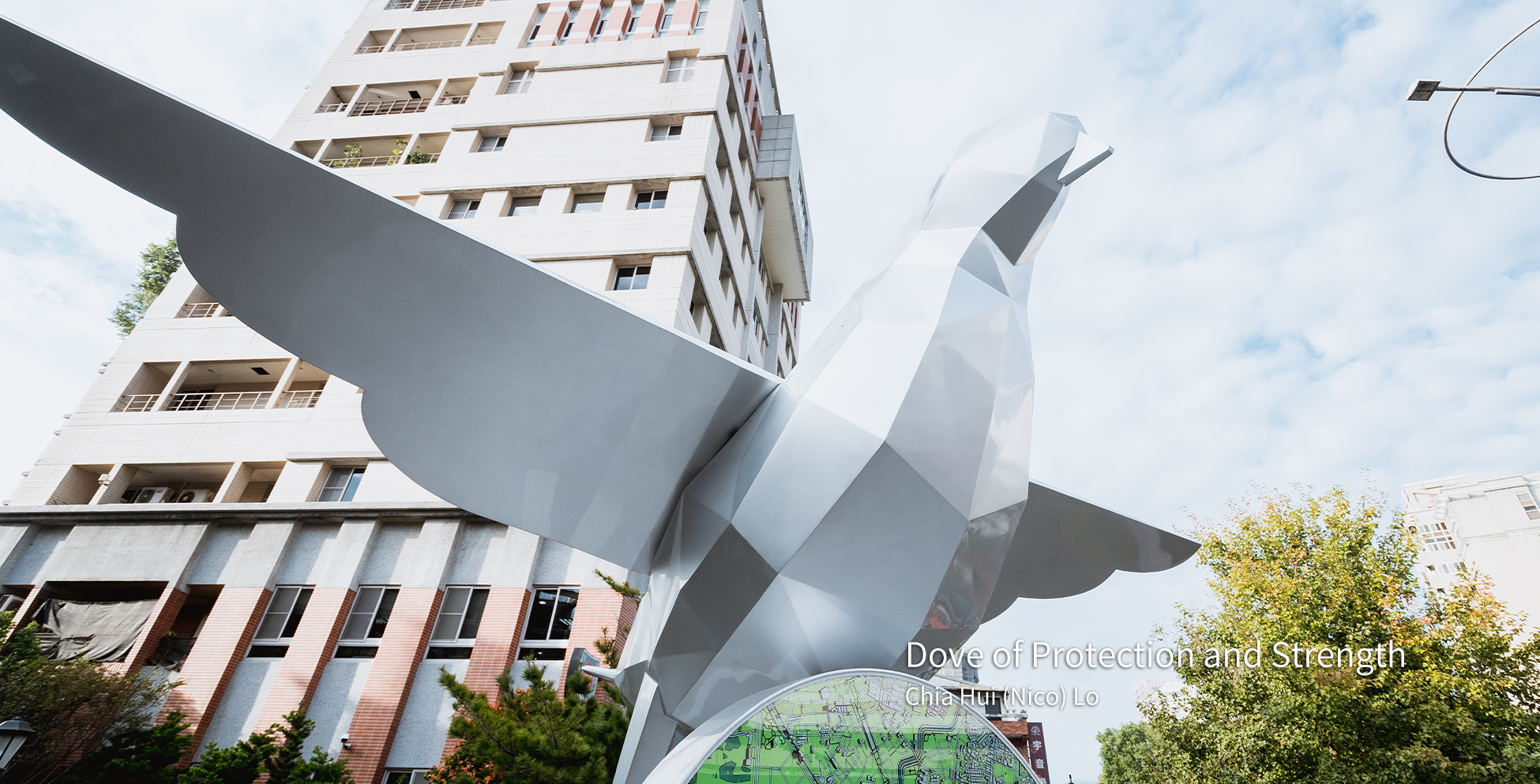 Dove of Protection and Strength-3