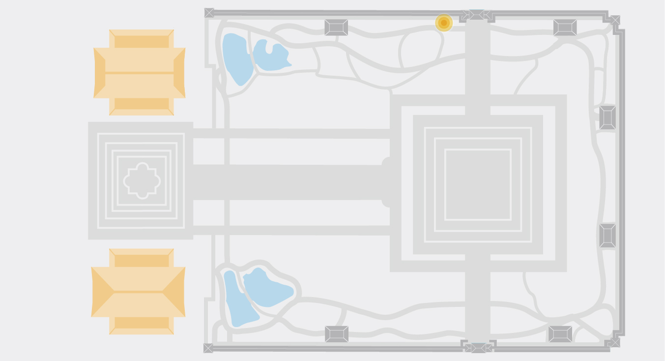 雙色非洲鳶尾平面圖